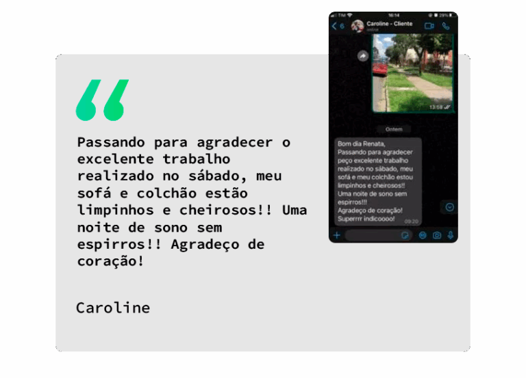 depoimento carol